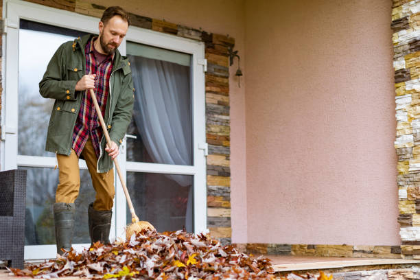 Professional Junk Removal in Barton, NM